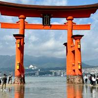 14 Días Japón Panorámico (Hoteles Privados 3 Estrellas): foto del viajero #3