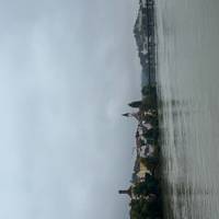 Photo de voyageur Classique du Danube 2026 #1