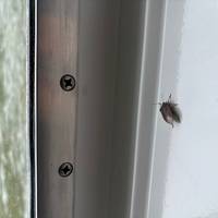 Photo de voyageur Classique du Danube 2026 #3