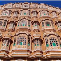 Rajasthan Wildlife &amp; Heritage Tour with Taj 16 jours | 15 nuits traveler photo #1