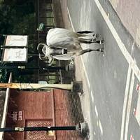 Heart of India (5 Destinations) traveler photo #2