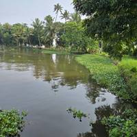 Luxus Kerala Tour Paket - Private 9 Tage Backwaters, Hausboote, Munnar Hills, Ayurveda Spa & Strände Reise-Foto #3