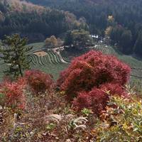 Photo de voyageur 2026 Découvrez la Corée en 7 jours : Une expérience tout compris avec l