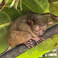 Eilandervaring op de Filippijnen: foto van de reiziger #3