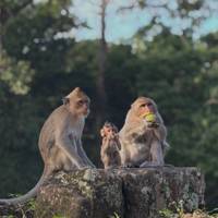 Photo de voyageur Aventure de 31 jours en Asie du Sud-Est : Thaïlande, Laos, Vietnam et Cambodge #1