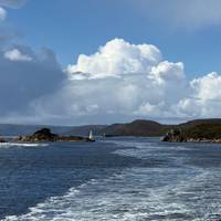 Tanzania definitiva - Recorrido de 10 días por Tasmania con todas las comodidades: foto del viajero #1