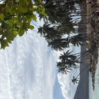 Philippinen Westkurs Reise-Foto #3