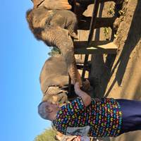 Privado - Viajes De Bangkok Al Norte De Tailandia 10 Días 9 Noches: foto del viajero #2