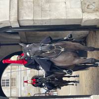 5 Dagen Londen, Oxford, Stratford en Warwick: foto van de reiziger #1