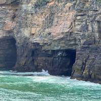 Das Beste von Tasmanien 10 Tage Reise-Foto #2