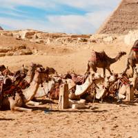 8 Tage Pyramiden (GEM Besuch) und Nilkreuzfahrt Assuan - Abu Simbel - Luxor - Hurghada Reise-Foto #1