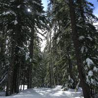 Wilderness First Aid (WFA) & Outdoor Leadership Course in Washington