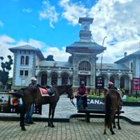 Ranomafana National Park & Antisirabe Safari 5Days/4Nights traveler photo #1