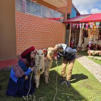 Inca Adventures – 7 Days (Lima, Paracas, Ica, Cusco, Machu Picchu & Rainbow Mountain) – With Domestic Flights traveler photo #3