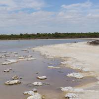 Photo de voyageur 7 jours de Perth à Exmouth Explorer &amp; Ningaloo Reef Return - de Perth #2