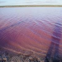 Photo de voyageur 7 jours de Perth à Exmouth Explorer &amp; Ningaloo Reef Return - de Perth #3