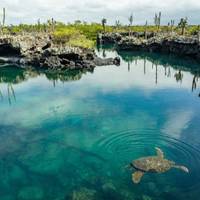 Photo de voyageur 10 jours d