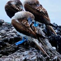 Photo de voyageur 10 jours d