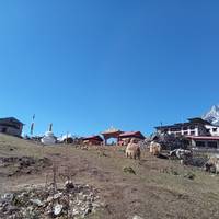 Everest Basiskamp Luxe Lodge Trek: foto van de reiziger #3