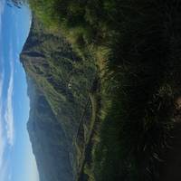 Photo de voyageur Chemin de rêve du Sri Lanka #3