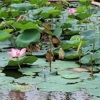 Best Of Vietnam In 14 Days traveler photo #2