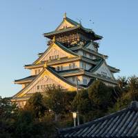 Japan Classic 10 Day - One Life Adventures traveler photo #2