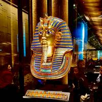 Traumreise Pyramiden, Alex, Weiße Wüste, Schwarze Wüste, Kristallberg, Nilkreuzfahrt Assuan/ Luxor Reise-Foto #1