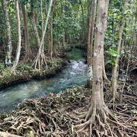 Photo de voyageur Les joyaux cachés du sud de la Thaïlande en 14 jours - Circuit privé #3