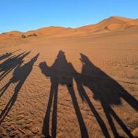 Königsstädte & Sahara Entdeckungsreise ab Marrakesch Reise-Foto #1