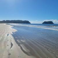 Eco-adventure in Costa Rica traveler photo #3