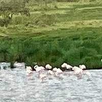 Tansania: Big Five Safari Reise-Foto #1