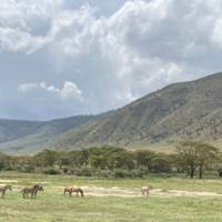 Tansania: Big Five Safari Reise-Foto #2