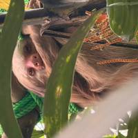 Mittelamerikanische Höhepunkte Reise-Foto #1