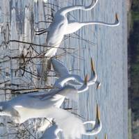 Mittelamerikanische Höhepunkte Reise-Foto #3