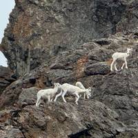 Aventura en Alaska - 20 días: foto del viajero #3