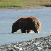Alaska Adventure - 20 Days traveler photo #3