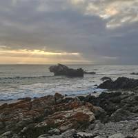 Abenteuer Garden Route & Addo Gruppe (6 Tage) Reise-Foto #3