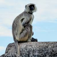 Taj Mahal & Rajasthan mit royalen Schloss-Aufenthalten Reise-Foto #1