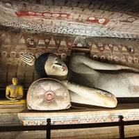 Photo de voyageur Splendeur du Sri Lanka (7 jours) Possibilité de surclassement en circuit privé #2