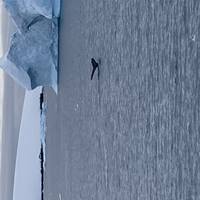 Antártida clásica: foto del viajero #1