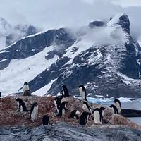 Antártida clásica: foto del viajero #2