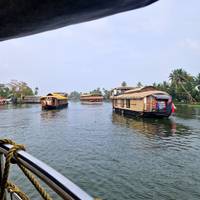 Het beste van Kerala: foto van de reiziger #1