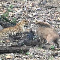 14-daagse Essence of India Luxe reis: foto van de reiziger #3