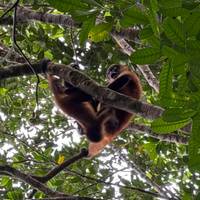 Essential Costa Rica - Package with Guanacaste traveler photo #3