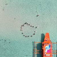 Clásico del Oeste de Filipinas 14 días - One Life Adventures: foto del viajero #3