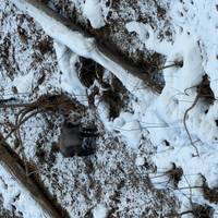 Photo de voyageur Japan Winter Classic 11 jours - One Life Adventures #1