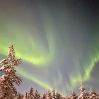 Photo de voyageur Points forts de la Laponie #2