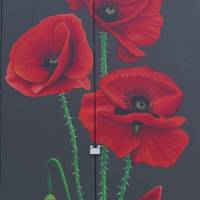 Die Highlights von Neuseeland Reise-Foto #3