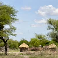 Klassieke Big Five-safari in Tanzania – duurzame reisbenadering: foto van de reiziger #3