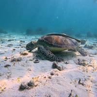 West Philippinen 10 Tage Reise-Foto #2